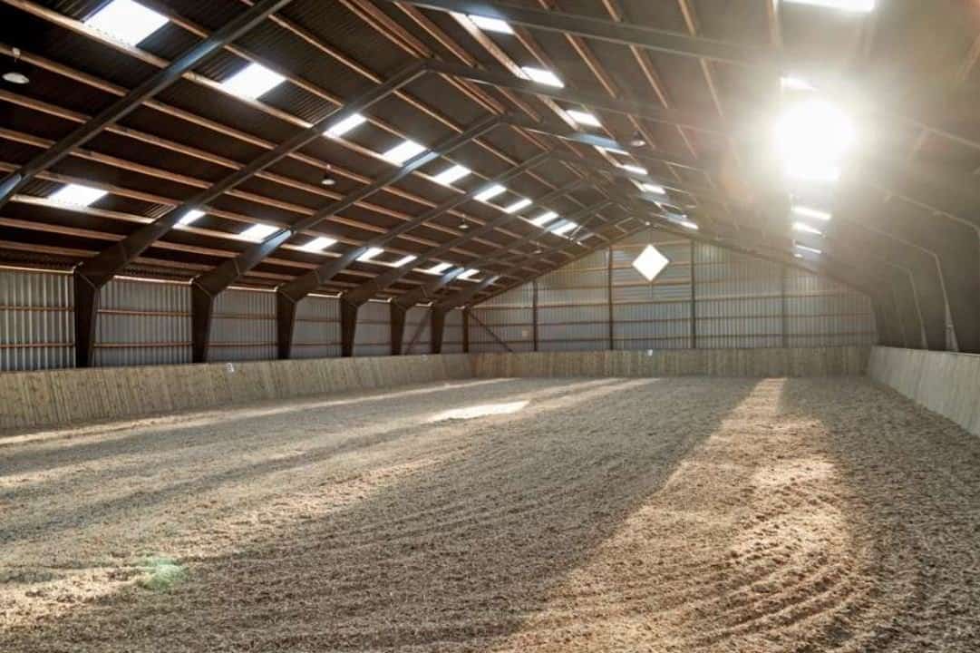 Agricultural building interior with steel frame and skylights